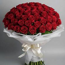 Букет 101 Красная роза Блэк Мэджик в Больших Ключах