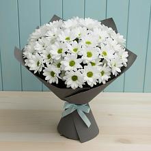 Букет цветов из:  Хризантемы в Больших Ключах