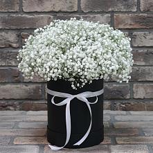 Цветочная композиция из Гипсофила в шляпной коробке #REPLACE_PRED# Больших Ключах
