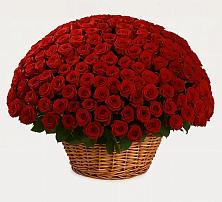 Премиум букет из: Розы в Больших Ключах